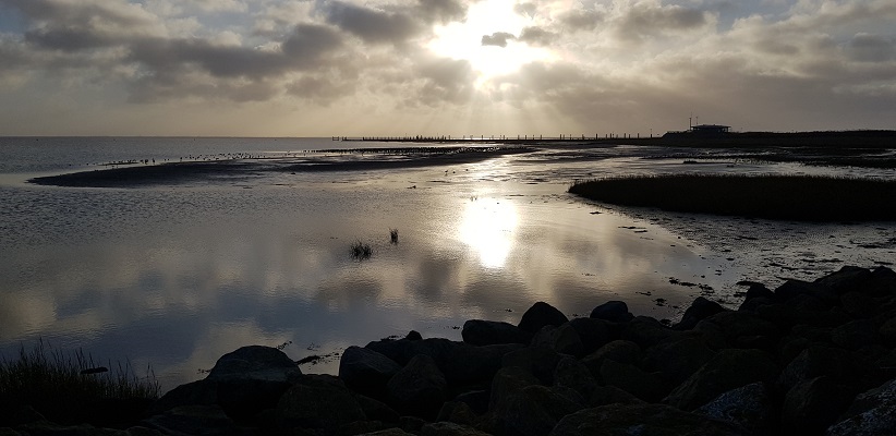 schiermonnikoog-dorp-veerdam-8 Wandeling op Schiermonnikoog van het Dorp naar de veerdam
