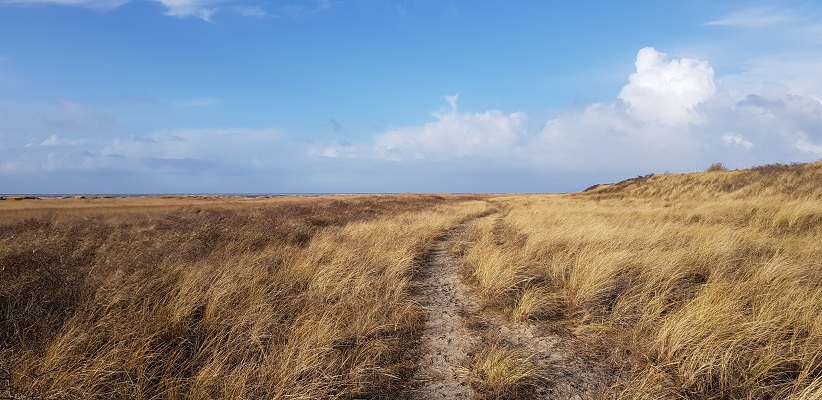 Wandeling rond de Westerplas op Schiermonnikoog