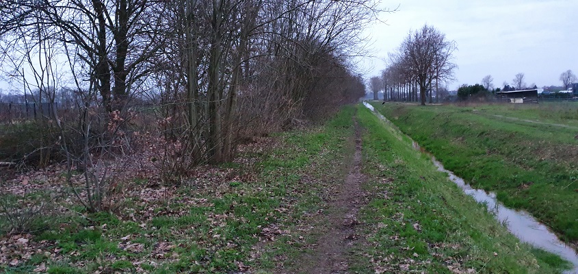 Wandeling over de mooiste zandwegen van Uden bij het Duits Lijntje richting Mariaheide