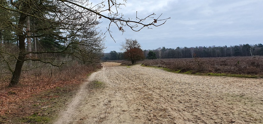 Wandeling over de mooiste zandwegen van Uden op de Keelweg op Slabroek