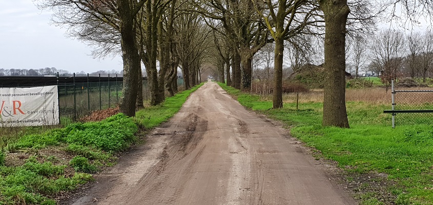 Wandeling over de mooiste zandwegen van Uden bij de Venstraat