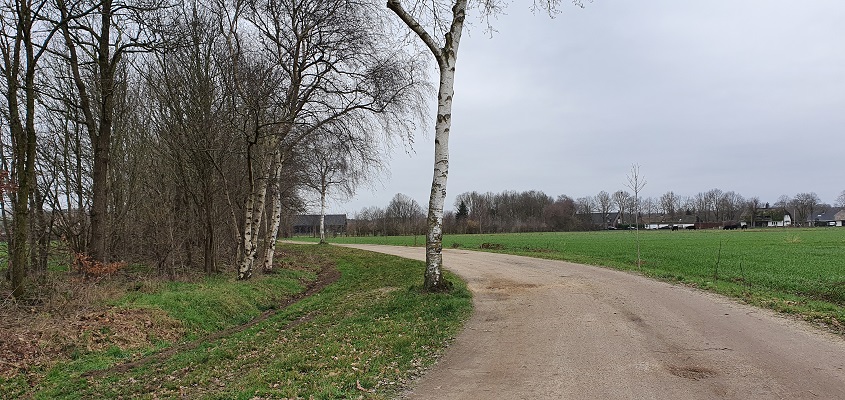 Wandeling over de mooiste zandwegen van Uden bij de Hooistraat