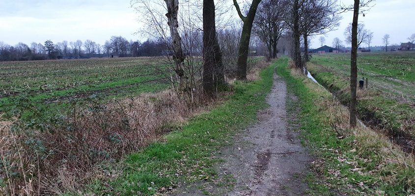 Wandeling over de mooiste zandwegen van Uden bij de Lageburchtweg