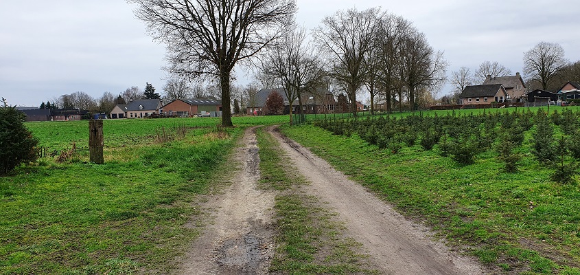rondje-uden-mooiste-zandwegen-23 Wandeling over de mooiste zandwegen van Uden bij de Schadronstraat in Volkel