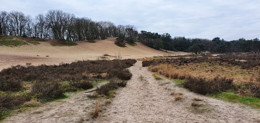 rondje-uden-mooiste-zandwegen-7 Wandeling over de mooiste zandwegen van Uden bij het karrespoor op Bedaf