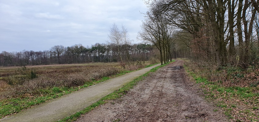 Wandeling over de mooiste zandwegen van Uden bij de Bergweg