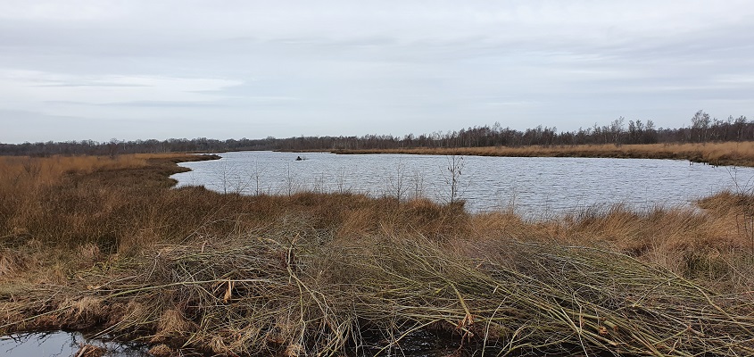 trage-tocht-helenaveen-16 Wandeling over Trage Tocht Helenaveen in de Mariapeel