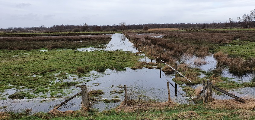 Wandeling over Trage Tocht Helenaveen in de Mariapeel