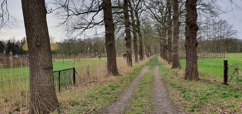 trage-tocht-helenaveen-22