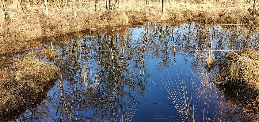 Wandeling over Trage Tocht Helenaveen