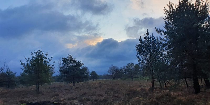 Wandeling over de Maashorst over wandelroute 28 Bunder op de Munse Heide