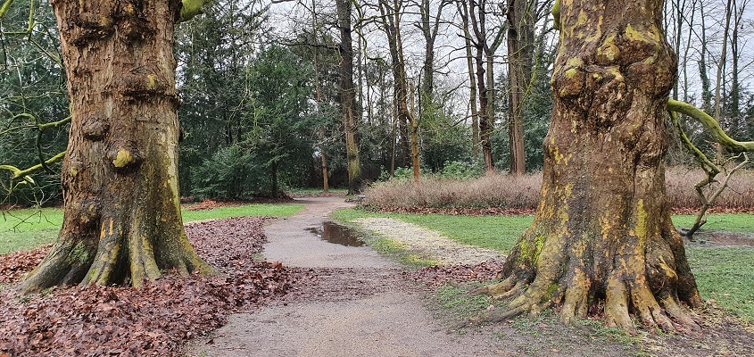 Literaire wandeling langs markante punten van A. van der Heijden in Geldrop