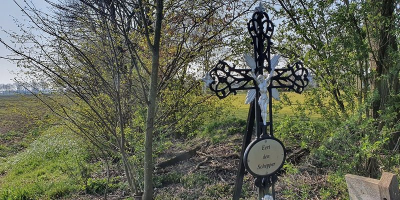 Wandeling Graancirkel in Oploo bij veldkruis