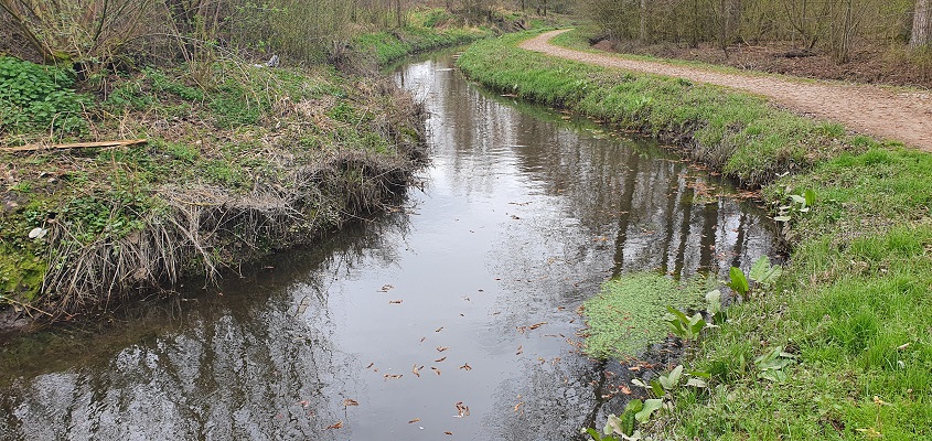 IVN-Wandeling Aanschotse Beemden bij Ekkersrijt in Eindhoven