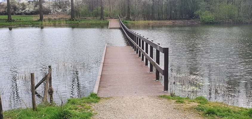 IVN-Wandeling Aanschotse Beemden bij Ekkersrijt in Eindhoven