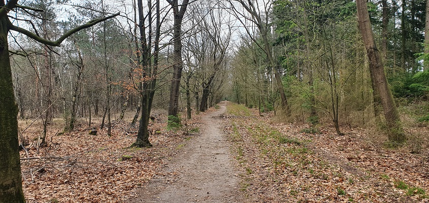 wandeling-erpsepad-mariahout-12 Wandeling over Erpsepad in Mariahout