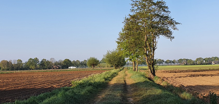 broeksteenpad-rijkevoort-12 Wandeling over het Broeksteenpad