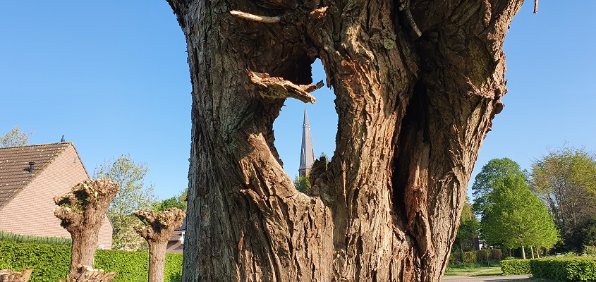 Wandeling over het Broeksteenpad