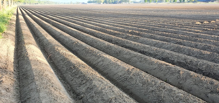 broeksteenpad-rijkevoort-3 Wandeling over het Broeksteenpad in Rijkevoort