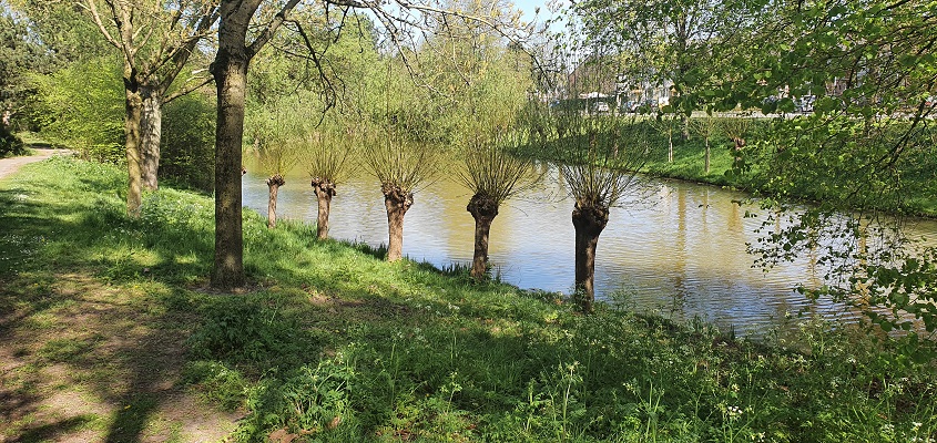 een-hoeve-op-de-hoeven-uden-22 Wandeling in Uden op de Hoeven