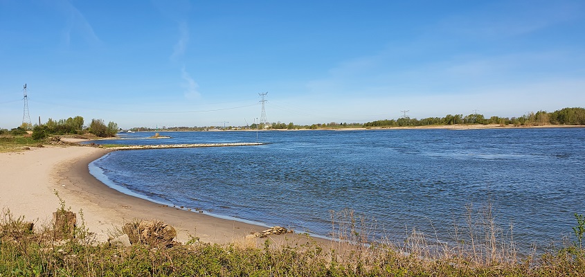 IVN-wandeling Afferdense en Deestse Waarden bij Druten langs de Waal