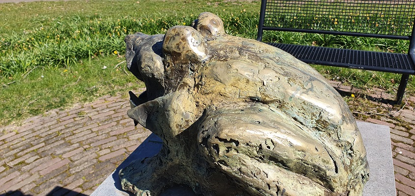 Wandeling over het kikkerpad in Rijkevoort bij de kikker