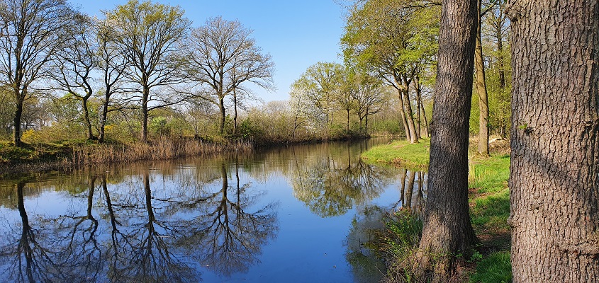 Wandelen in een rondje de Vilt bij Oeffelt