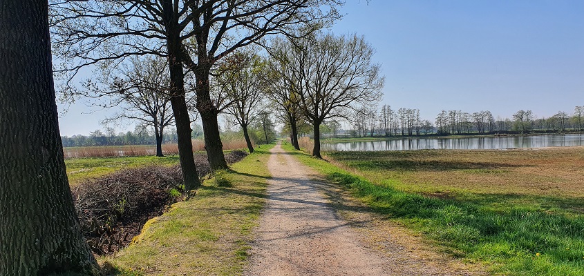 Wandelen in een rondje de Vilt bij Oeffelt
