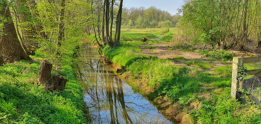rondje-de-vilt-oeffelt-15 Wandelen in een rondje de Vilt bij Oeffelt