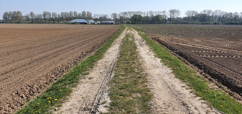 Wandelen in een rondje de Vilt bij Oeffelt