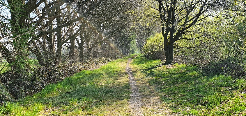 Wandelen in een rondje de Vilt bij Oeffelt