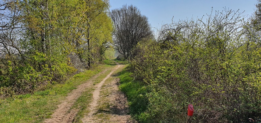 Wandelen in een rondje de Vilt bij Oeffelt
