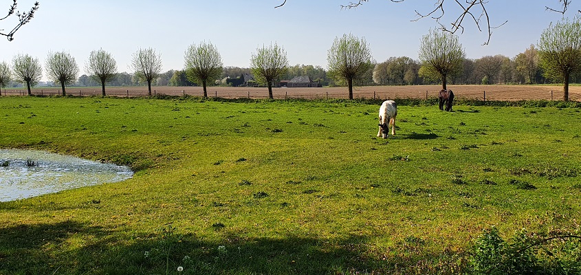 rondje-de-vilt-oeffelt-7 Wandelen in een rondje de Vilt bij Oeffelt