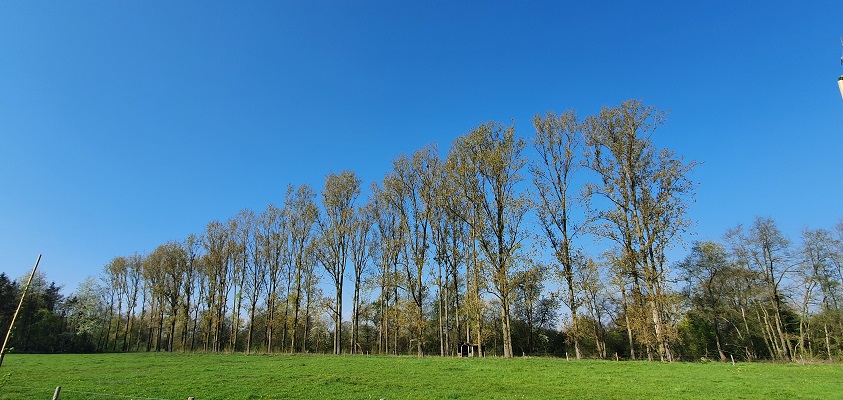 rondje-de-vilt-oeffelt-9 Wandelen in een rondje de Vilt bij Oeffelt