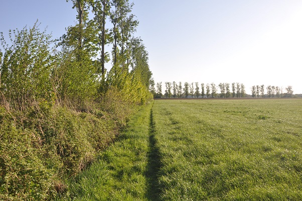 wandeling-maashorstboeren-udens-broek-1 Wandeling door het Udens Broek van de Maashorstboeren
