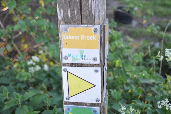 Wandeling door het Udens Broek van de Maashorstboeren