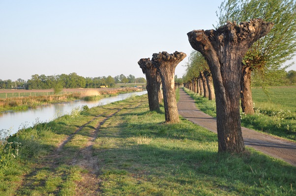 wandeling-maashorstboeren-udens-broek-21 Wandeling door het Udens Broek van de Maashorstboeren