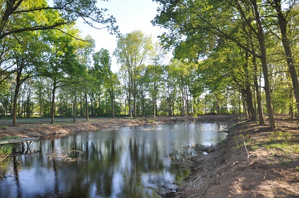 wandeling-maashorstboeren-udens-broek-5 Wandeling door het Udens Broek van de Maashorstboeren