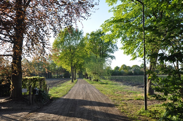 wandeling-maashorstboeren-udens-broek-7 Wandeling door het Udens Broek van de Maashorstboeren