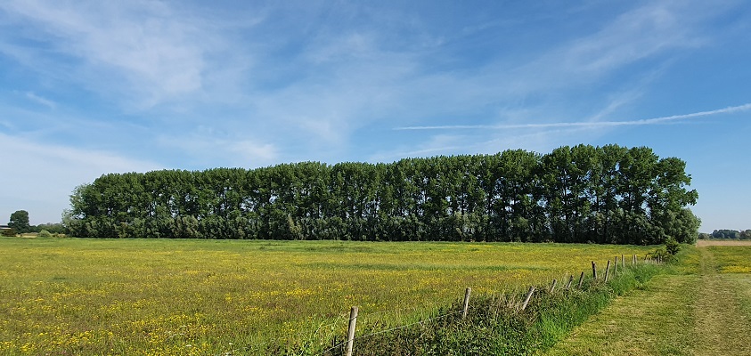 Wandeling over Klompenpad het Rijnstrangenpad