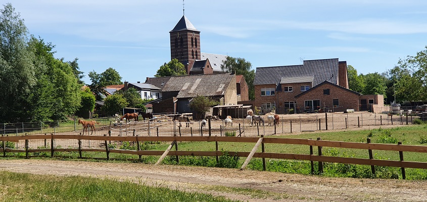 Wandeling uit gids Rondom Zuid Limburg van Susteren naar Schinveld