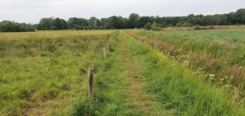 trage-tocht-bedaf-uden-1 Wandeling over Trage Tocht Bedaf met Rob Wolfs bij de Peelrandbreuk
