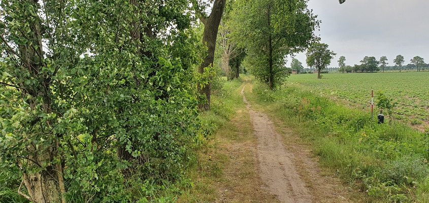trage-tocht-bedaf-uden-10 Wandeling over Trage Tocht Bedaf met Rob Wolfs
