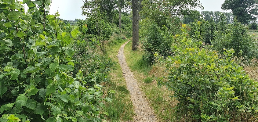Wandeling over Trage Tocht Bedaf met Rob Wolfs