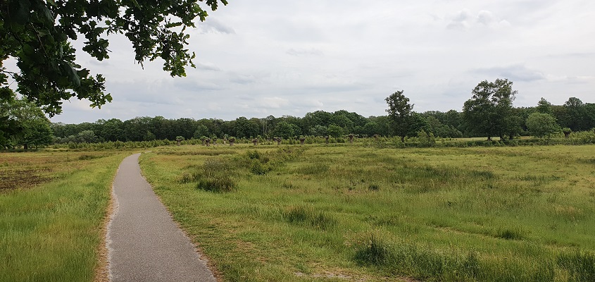 trage-tocht-bedaf-uden-17 Wandeling over Trage Tocht Bedaf met Rob Wolfs
