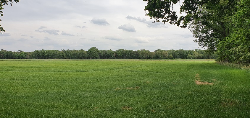 trage-tocht-bedaf-uden-18 Wandeling over Trage Tocht Bedaf met Rob Wolfs