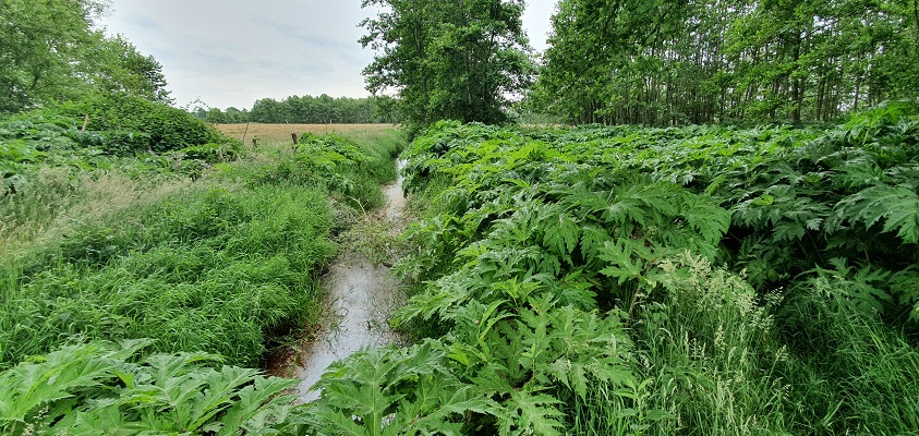 trage-tocht-bedaf-uden-21