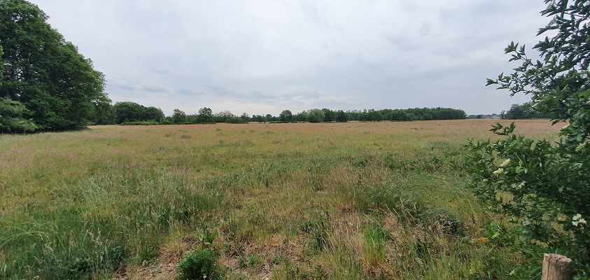 trage-tocht-bedaf-uden-22 Wandeling over Trage Tocht Bedaf met Rob Wolfs