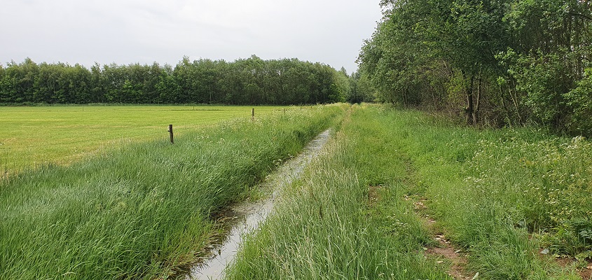 trage-tocht-bedaf-uden-25 Wandeling over Trage Tocht Bedaf met Rob Wolfs
