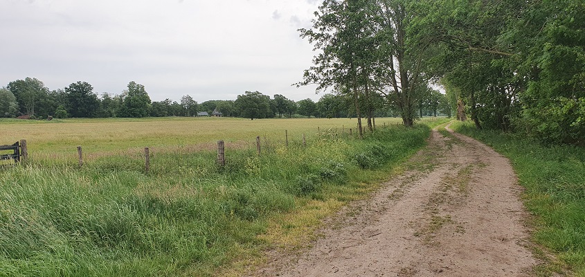 trage-tocht-bedaf-uden-4 Wandeling over Trage Tocht Bedaf met Rob Wolfs